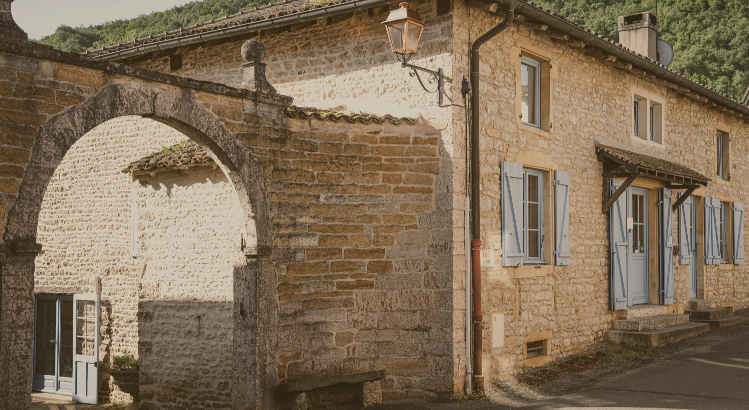 maison vitis maison
