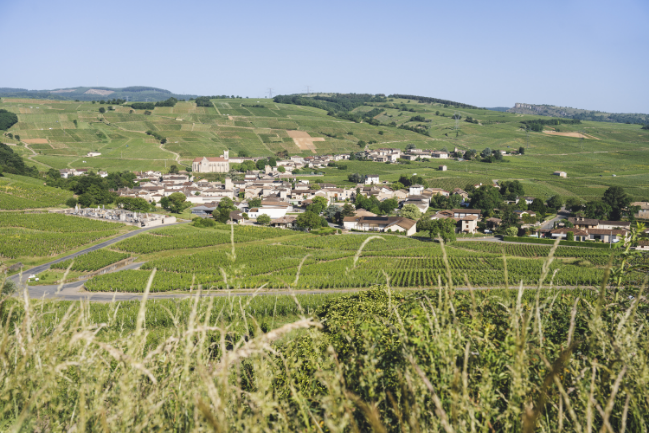 La Bourgogne du Sud, lumineuse et secrète