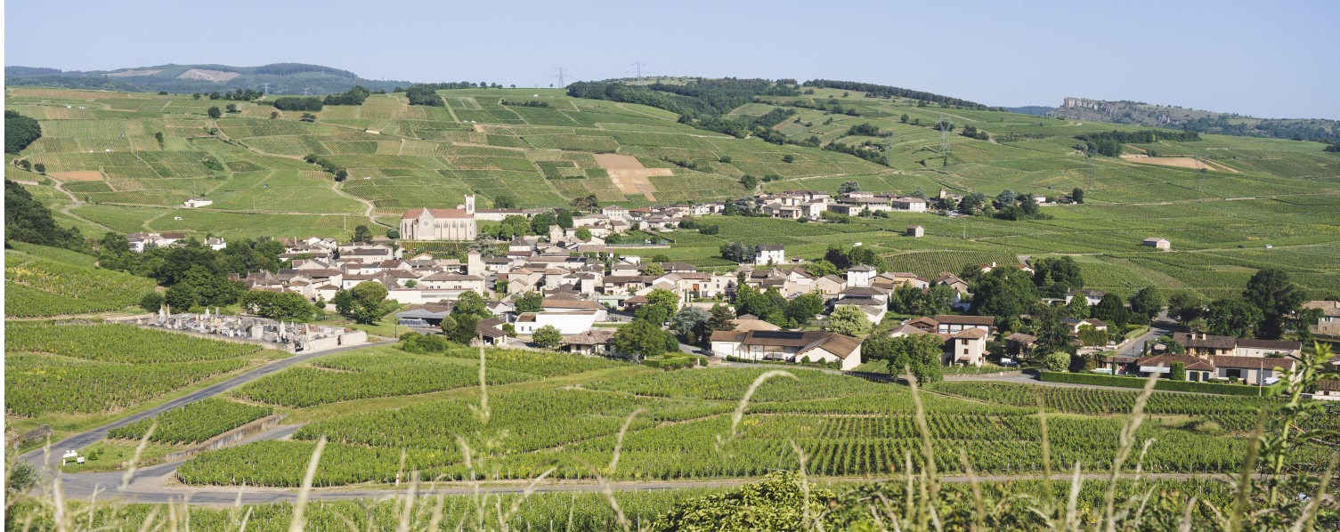Village viticole au cœur du Mâconnais